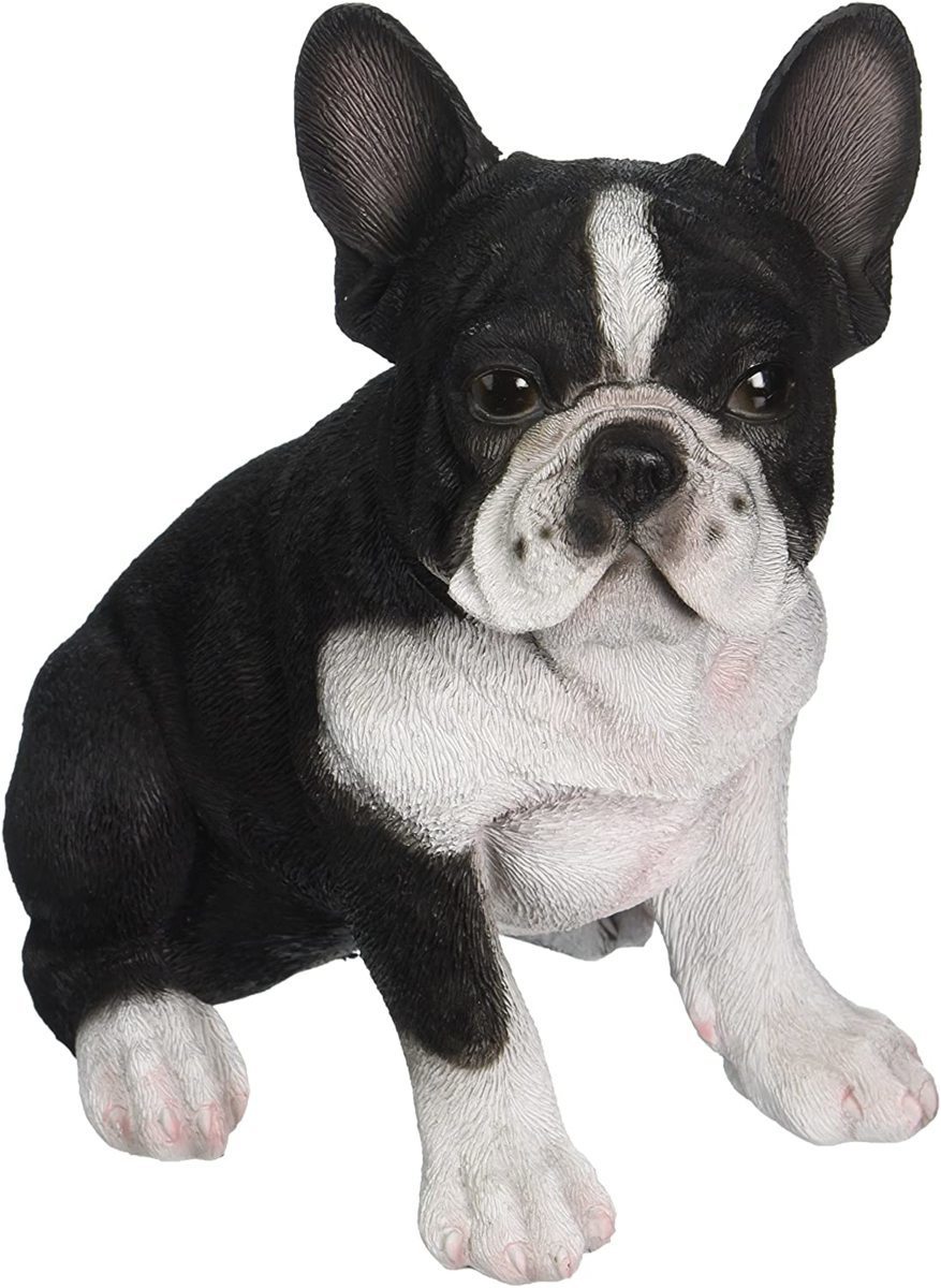 Rakuten - ハイラインギフト製 座っている、フレンチ・ブルドッグ子犬 彫像 彫刻/ ドッグカフェ ペットホテル 獣医 動物 プレゼント贈り物 （輸入品