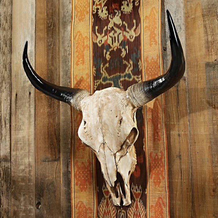 北米アメリカ ロングホーンスカル(牡牛頭骨レプリカ ))ハンティング・トロフィー ウエスタン風オブジェ壁掛け 剥製 骨標本 彫像 オールドウエスト(輸入品