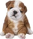 かわいい!座って眠そうな、ブルドッグ子犬 彫像 彫刻 ドッグカフェ パブ ペットショップ 贈り物 プレゼント/ Sitting Sleepy Bulldog P...