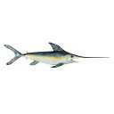 メカジキ(旗魚) ウォールマウント・トロフィー壁彫刻 彫像/水族館 居酒屋 レストラン ボートハウス 新築祝い プレゼント 贈り物(輸入品)
