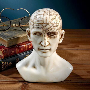 デザイン・トスカノ製 西洋式 骨相学の人体模型 顔相彫像 人相占いの模型 彫刻（輸入品）