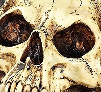 �����å��� �����γѤΤ��밭���Ƭ���� Ħ���ʥǥ����륨�󥸥�������Ħ��/ ���󥿥२��� �ϥ������� ��ǰ�ʥץ쥼���£��ʪ��͢���ʡ�