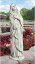 天の祝福された聖母マリア像 無原罪の御宿り像彫像 彫刻/ ガーデン 庭園 コレクション（輸入品