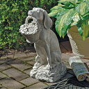 fUCEgXJm j̃xXgEth ̒ / Design Toscano Man's Best Friend Dog StatueiAij