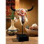 Ƭ κ ۤͺƬ Ħ ϥƥ󥰥ȥեĦ/ Western Desert Sun Cow Skull Statue͢ʡ