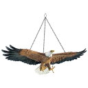 自由への飛翔 アメリカン白頭鷲 ハンギングバード、幅 約49cm 彫像 置物彫刻 カフェ パブ ファッション 動物園 社長室 プレゼント 贈り物(輸入品