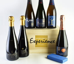 アンリ ジロー エクスペリエンス NV アンリジロー アンリ・ジロー Henri Giraud Experience フランス シャンパン シャンパーニュ