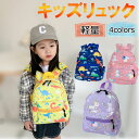 送料無料 キッズ リュック 男の子 女の子 小学生 キッズ リュック 保育園 通園 通学 子供 幼稚園 バッグ かっこいい 軽量 丈夫 防災 遊園地 キャンプ ...