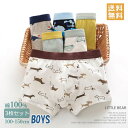 送料無料 男の子 ショーツ 3枚セット 綿95% インナー パンツ 下着 男の子 ボクサーパンツ 男児 キッズ ジュニア 通園 園児 保育園 男の子 かわいい ...