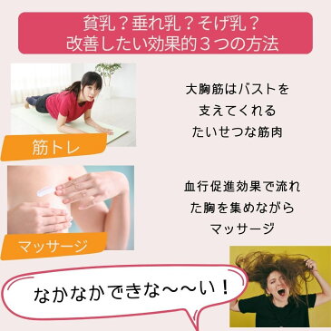 \ショーツプレゼント/ナイトブラ 2枚 セット ナイトブラ 育乳 バストアップワイヤレスブラ 大きいサイズ ノンワイヤー ブラジャー おすすめ いく乳 大人気 育乳 ナイトブラ いく乳 かわいい ブラ 下着 メイク プレゼント 美
