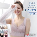 \30%OFFクーポン/ ナイトブラ 育乳 ブラジャー バストアップ ワイヤレスブラ ノンワイヤー 1枚 単品 ブラ おすすめ いく乳 大人気 いくにゅうぶら ...