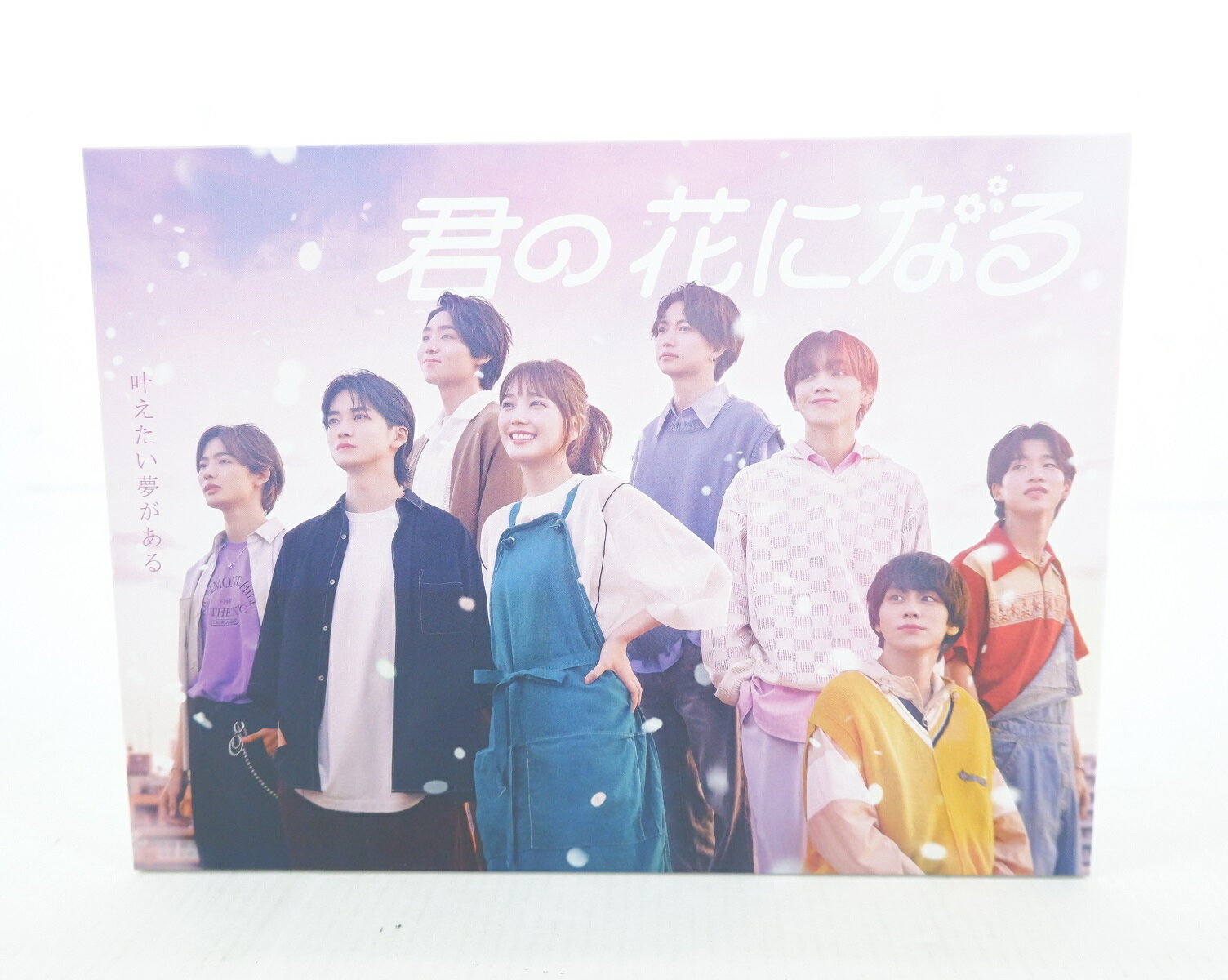君の花になる DVD-BOX 【DVD】
