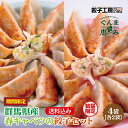 群馬県産春キャベツの餃子セット/ 送料込み (沖縄別途送料) 期間限定 数量限定 ぐんまの恵み 群馬県の食材を中心に使用 [ 群馬県産 豚肉 春キャベツ キャベ...