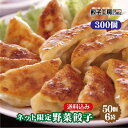 ネット限定 野菜餃子 300個 (50個入×6袋) ／ 送料込み 《 レンジ 調理可能 》 「2分でギョーザ！(600W5個2分)」 あっさりした 野菜餃子 は女性に大人気 [ にんにく 不使用 ] 餃子 ぎょうざ ギョウザ 餃子工房 RON みまつ食品