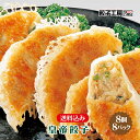 皇帝餃子 64個 (8個入×8パック) ／ 送料込み (沖縄別途送料） 冷蔵 お肉と野菜にこだわったジャンボサイズの餃子 ジューシー もっちり 食べ応え 大粒 餃子 ぎょうざ ギョウザ 餃子工房 RON みまつ食品