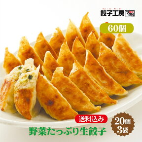 野菜たっぷり生餃子 60個 (20個入×3袋) ／ 送料込み (沖縄別途送料）にんにくを使用していない 野菜餃子 野菜のシャキシャキ感と旨み さわやかな生姜の香り [ にんにく 不使用 ] [ 化学調味料 不使用 ] [ 国産 野菜 豚肉 小麦粉 使用 ] ぎょうざ 餃子工房 RON みまつ食品