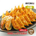 お肉たっぷり生餃子 60個 (20個入×3袋) / 送料込み (沖縄別途送料) にんにくを使用していない 肉餃子 群馬県産の「上州麦豚」使用! ブランド肉 [ ...