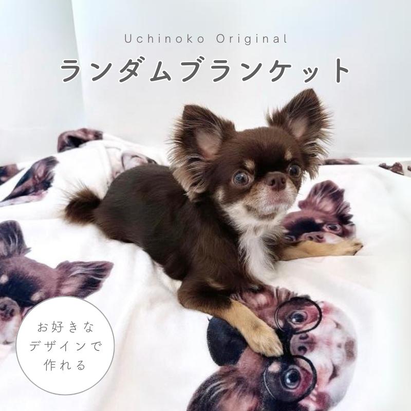 楽天市場】ブランケット 写真プリントの通販 楽天市場】ブランケット 写真プリントの通販