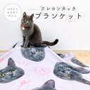 【お好きなお写真で作れる】オリジナル クレヨンタッチ ブランケット タオルケット 膝掛け おやすみマット 毛布 布団 お昼寝毛布 お昼寝 プリント わんちゃん うちの子 プレゼント ギフト オリジナルグッズ 写真 愛犬 セミダブル デザイン クリスマス 名入れ オーダーメイド(3)
