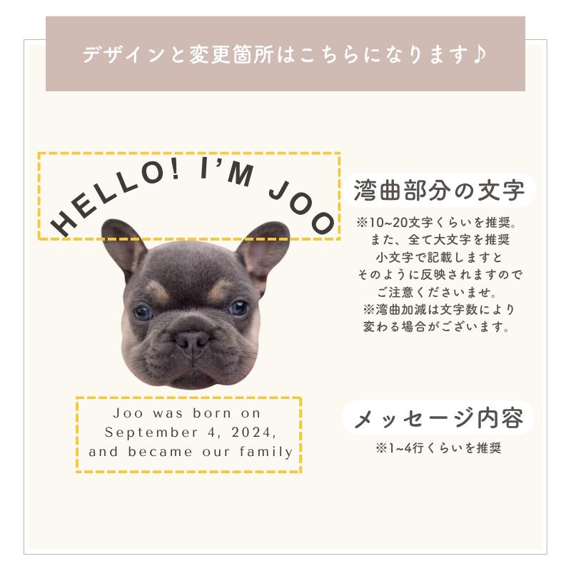 【お好きなお写真で作れる♪】オリジナル ラグラン Tシャツ オリジナルグッズ ギフト プレゼント 愛犬グッズ うちの子グッズ 写真 写真プリント うちの子 子供 プリント トップス 部屋着 パジャマ 誕生日 赤ちゃん 写真 ペット子供 赤ちゃん 母の日 父の日 デザイン