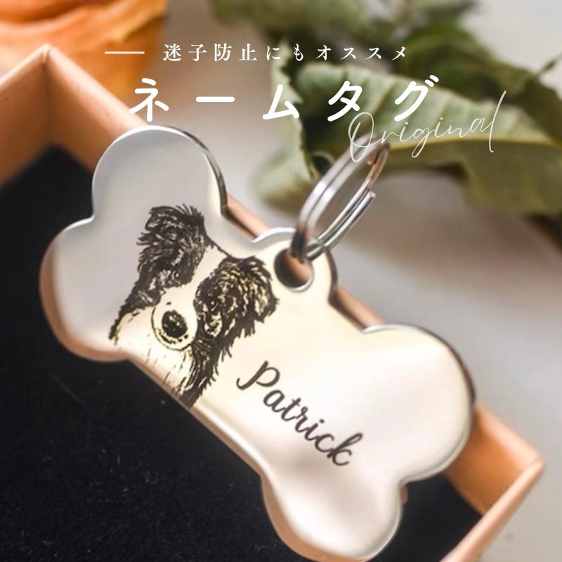 鳨Ħ ͡ॿ ꥸʥ    ڥå ǭ»һ 㡼 إ㡼 ̾ ͡ ᥤ 鳨 ...