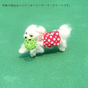 犬用おもちゃ ホーリーローラーボール Mサイズ 　グリーン