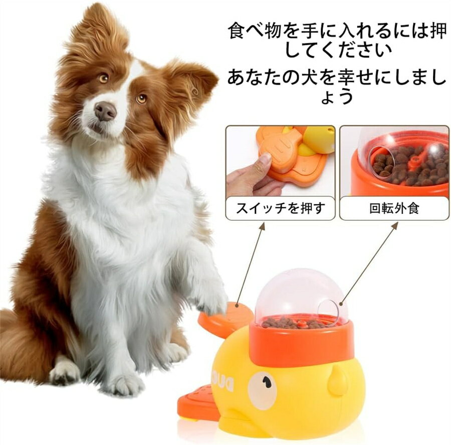 �ڥå� ��ư��´� �� ǭ ���� ���󥿥饯�ƥ��� �ե������� �ΰ��� �����ޡ��� ��ư������굡 �ա��ɥǥ����ڥ󥵡� ��ư��­��� ���ȥ쥹��� ��ϳ���ɻ� �����Ĵ����ǽ