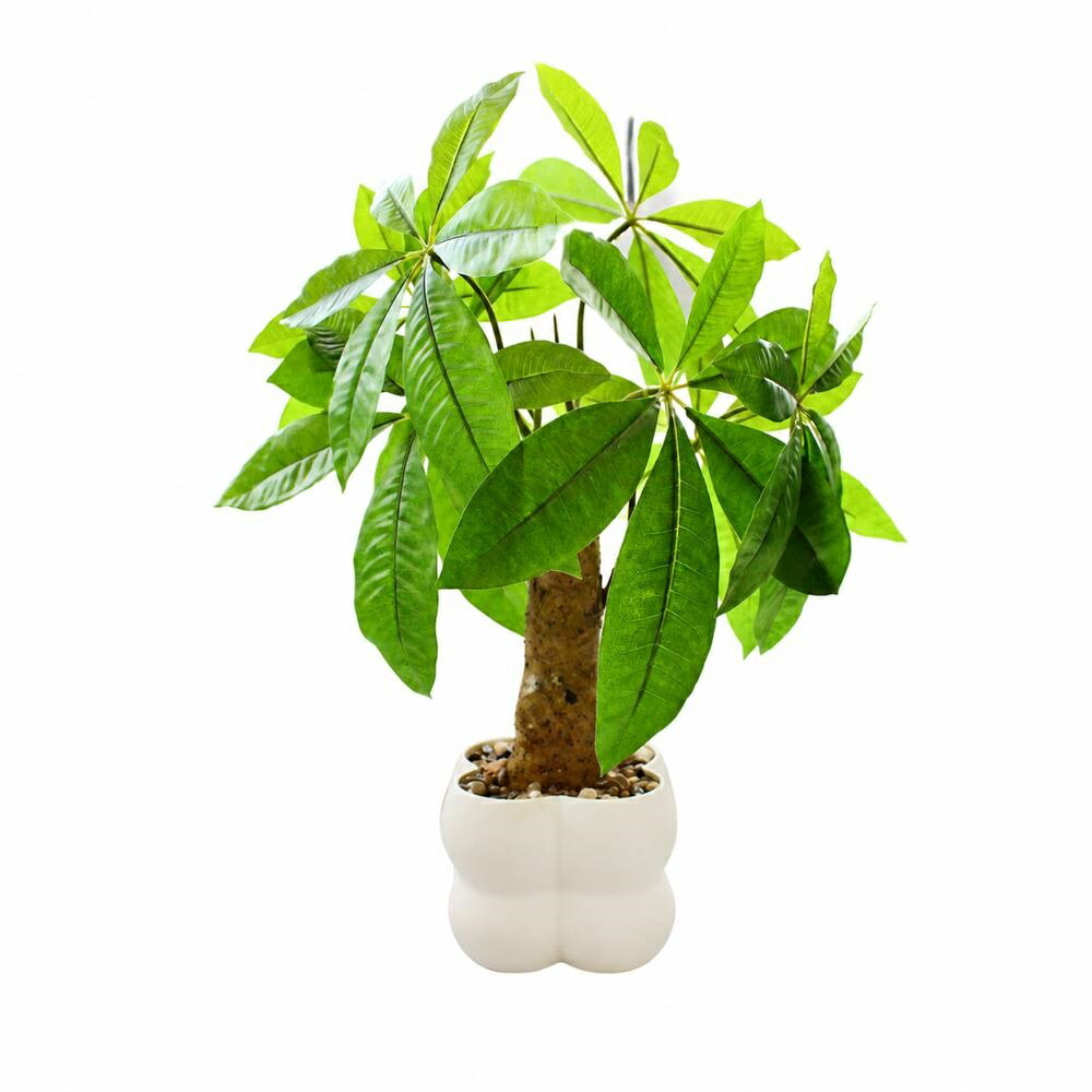 Rakuten - 【本物そっくり】人工観葉植物 パキラ 25cm フェイクグリーン 卓上 鉢植え リアル 小さい 造花 インテリアグリーン 室内 おしゃれ 幹太 ミニ 盆栽 枯れない 水やり不要 お手入れ簡単 虫が出ない 日当たり不要 癒やし 緑 ホワイト 鉢付き 北欧 モダン リビング 玄関