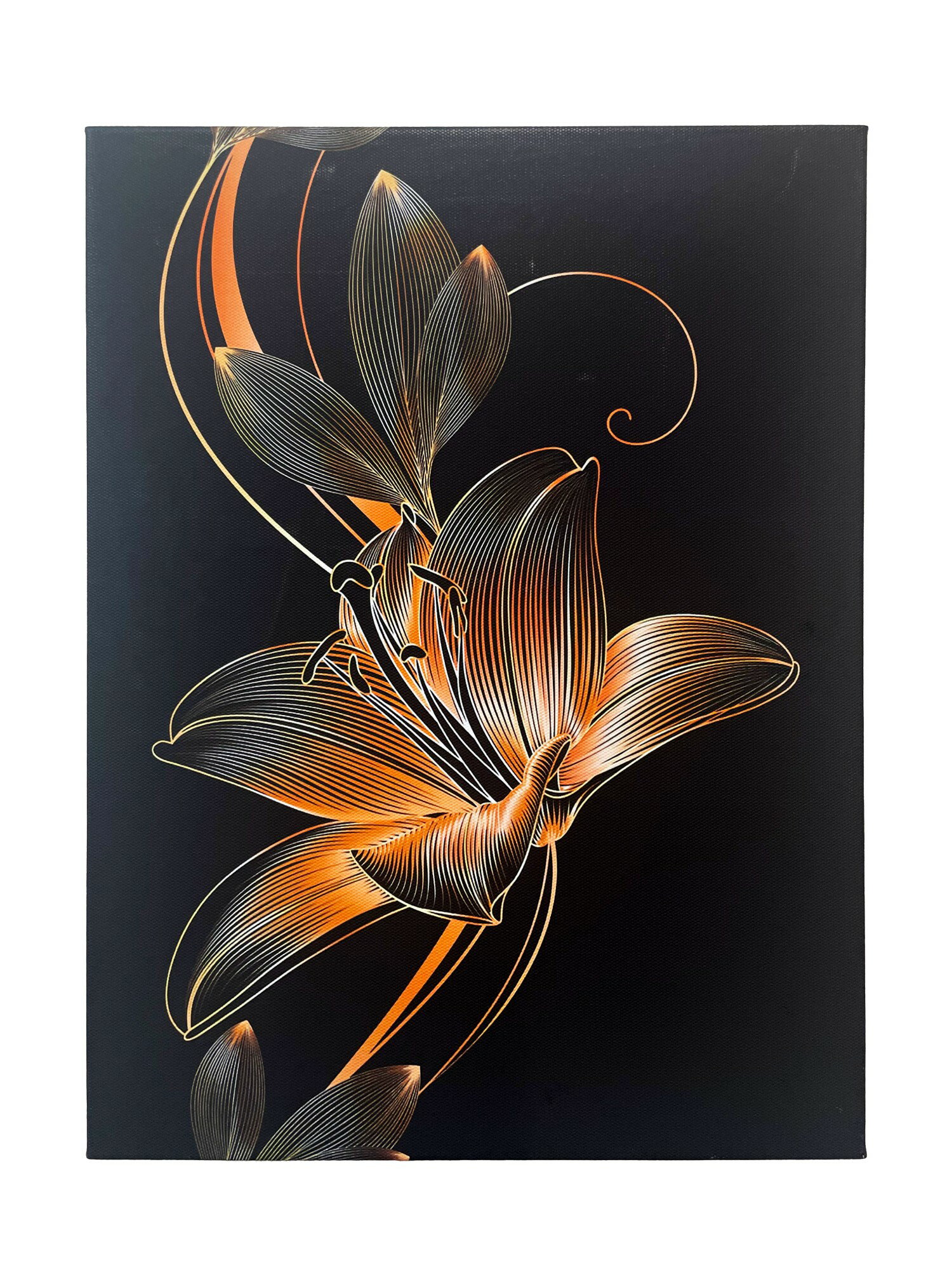 Rakuten - 「23053 漆黒に咲く一輪の花」 アートパネル 絵画 絵 アートフレーム 壁掛け装飾 贈り物 ギフト 装飾画 (幅30cm×高さ40cm)