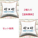 ヌードクッション 2個セット販売 クッション中身 42×42クッション中材 クッション本体 クッションカバー用本体 送料無料 42x42