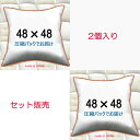 ヌードクッション 2個セット販売 クッション中身 48×48クッション中材 クッション本体 クッションカバー用本体 送料無料 48x48
