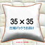 ̡֥ɥå 3535cmå å९å Pillow Insertå󥫥С Cushion 35x35פ򸫤