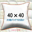 ̡ɥå 4040cmå å९å Pillow Insertå󥫥С Cushion40x40