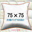 ̡ɥå 7575cmå å९å Pillow Insertå󥫥С Cushion 75x75