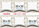 【6個セット販売】【送料無料】ヌードクッション 30×30cm クッション本体 クッション中身クッション中材 Pillow Insertクッションカバー用本体 Decorative Cushion 30x30