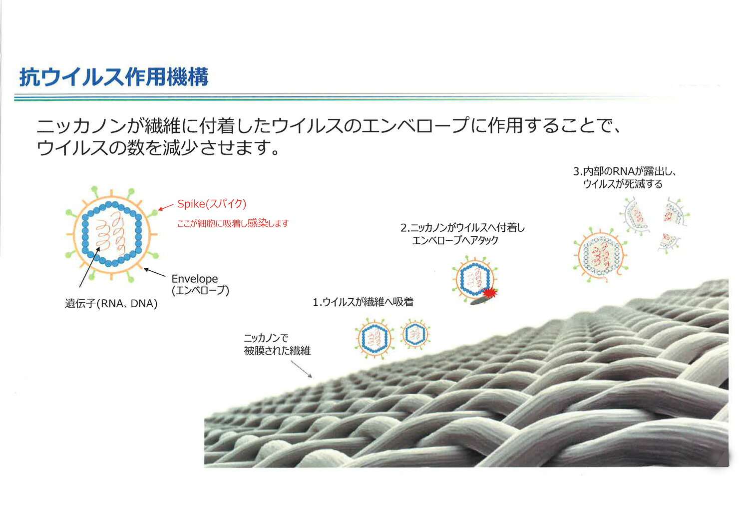 ヌードクッション 抗ウイルス加工 抗菌防臭加工...の紹介画像3