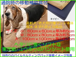 サイズ中80x80x5cm