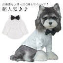 犬服 Yシャツ 可愛い ペット服 ドッグウェア 紳士 ワイシャツ 白シャツ シャツ ホワイト 白 重ね着 無地 シンプル 柔らかい 人気 男の子 女の子 可愛い オシャレ お出かけ お散歩 猫服 送料無料