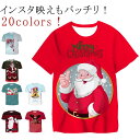 サンタクロース クリスマス tシャツ クリスマス tシャツ サンタ ドライT 選べる20デザイン メンズ レディース サンタクロース 仮装 衣装 コスプレ プレ...