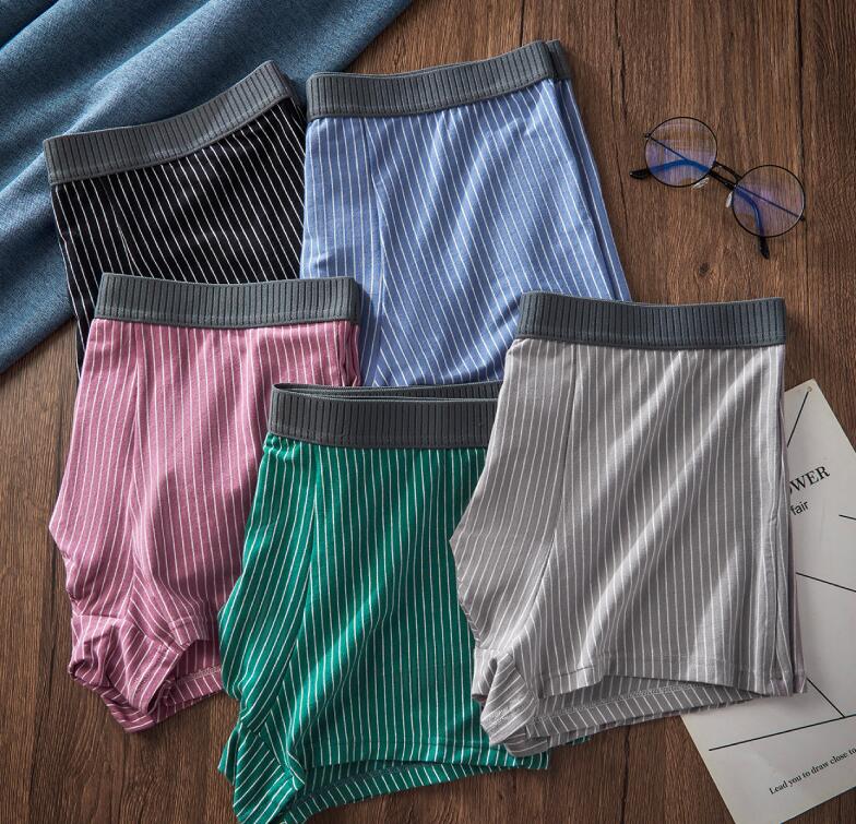 L~10XL お年寄り メンズパンツ 5点セット パンティ 下着 パンツ 男子 メンズ ショーツ メンズ下着 イン..