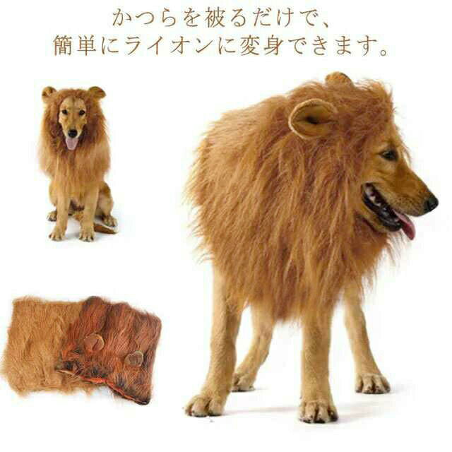 犬 ライオン 獅子 仮装 ウィッグ カツラ かぶりもの 犬服 ペット用 ハロウィン コスプレ コスチューム 衣装 変装 帽子 被り物 柴犬 ゴールデンレトリバー コーギー グッズ