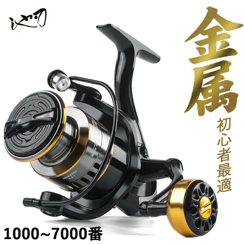 ԥ˥󥰥꡼ ꡼ Х  ꡼    ø峤 鿴ԺŬ °12BB 5.2:1 Ѿ׷ 1000~...