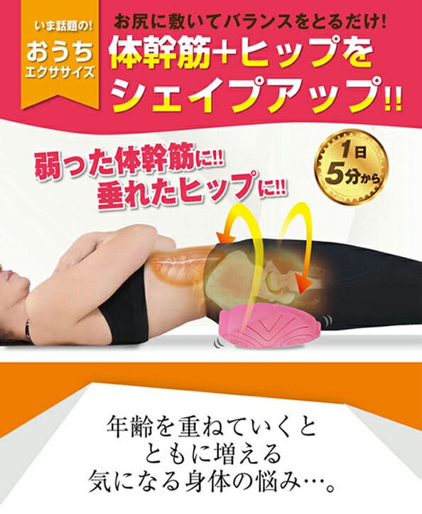 プランドゥ　体幹筋シェイプバランスマット　コアプラス　コアマッスルトレーニング