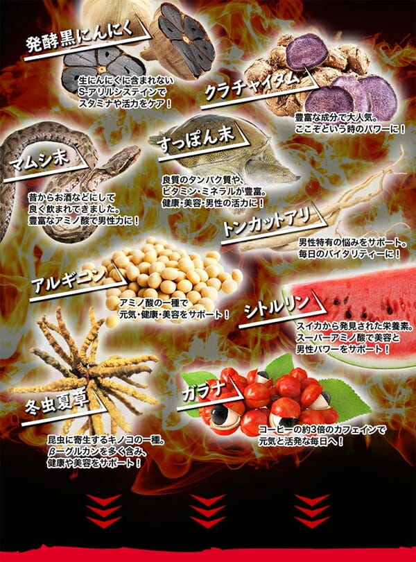 【メール便送料無料】ヘルシーライフ　マカ・亜鉛＋アルファ　360粒　スタミナ　妊活　タブレット