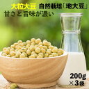 大粒 農薬・肥料不使用 不耕起栽培 産地限定 国産 地大豆 200gx3袋(200×5= 1kg ) 甘さとコクが違う 豆乳 手作り味噌、豆腐など コクと旨味に感動 滋賀県 みずくぐり 有機 オーガニック の上をゆく不耕起栽培 無農薬 無肥料