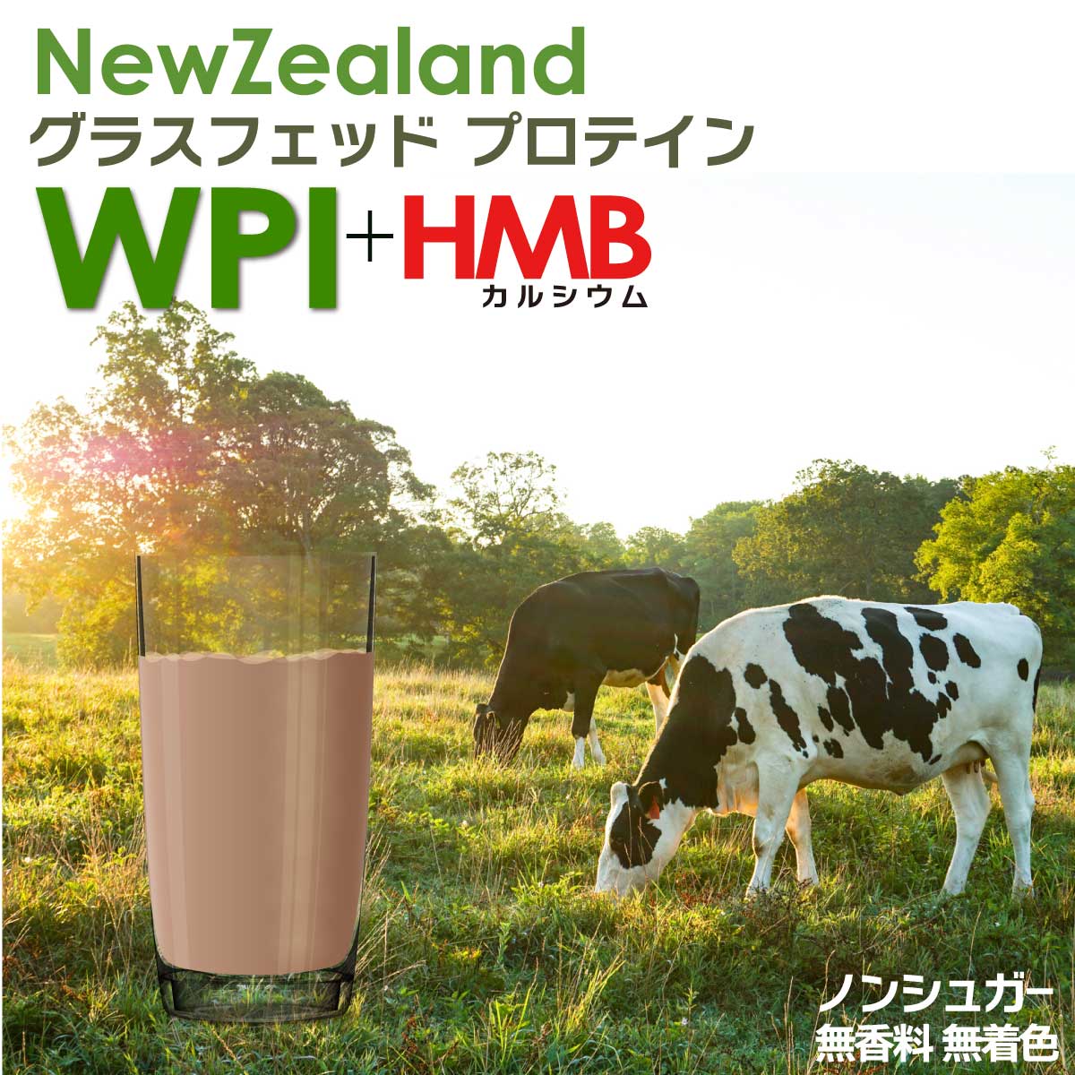 グラスフェッド プロテイン wpi ＋ HMB カルシウム 無添加 国産 BCAA アミノ酸スコア100 人工甘味料不使用 ノンカフェイン 甘味料不使用 ココア パワフルな ナチュラルプロテイン ホエイプロテイン と ソイ プロテイン いいとこどり 乳糖 ゼロ 乳糖不耐性 750g