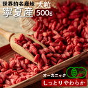 【アウトレット】有機JAS クコの実 オーガニック 無添加 500g 大粒 ドライフルーツ ゴジベリー ドライフルーツ やわらかめ サプリメントフルーツ 無漂白...