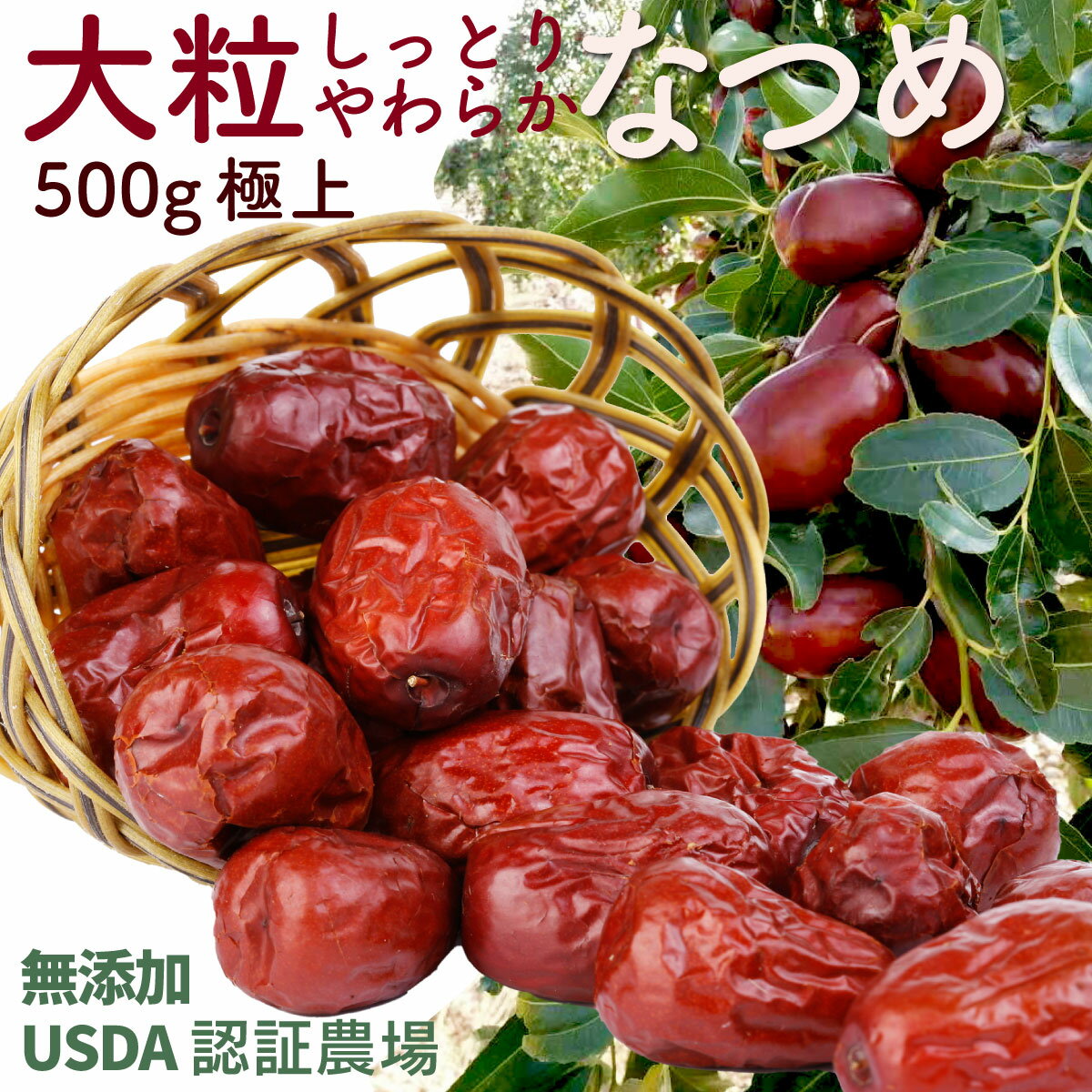 【クーポン】大粒ナツメ しっとりやわらか 500g 樹上完熟 極上 USDA認証農場 海外 有機 寧夏産 無糖 無添加 ドライフルーツ 棗 無化学農薬・無化学肥料 薬膳 効果 効能 栄養 アメリカ オーガニック 無漂白 ソルビン酸不使用 ノンオイルコーティング そのまま食べる なつめ