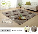 【P5倍】【開店記念クーポン】 花柄 ラグ ラグマット Pranta おしゃれ 可愛い 長方形 200×300cm アイボリー ブラウン 洗濯機で洗える 抗菌 防臭 フランネル やわらか ホットカーペット対応 かわいい モダン イケヒコ