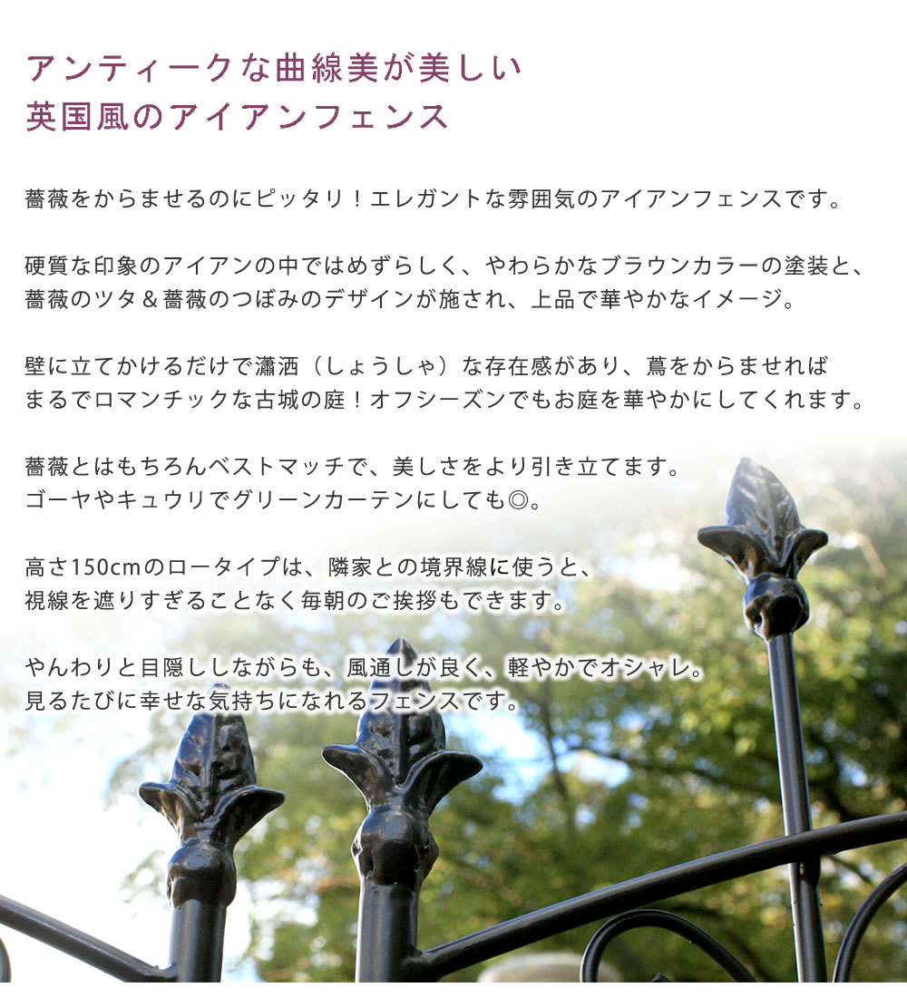 【クーポン】【5倍】アイアンローズフェンス150 ロータイプ 2枚組【送料無料 フェンス アイアン ガーデンフェンス ガーデニング 枠 柵 仕切り 目隠し 境目 クラシカル アンティーク トレリス ベランダ つる 薔薇 バラ 朝顔 園芸 ラティス つるバラ 庭誘引 屋外 】 3